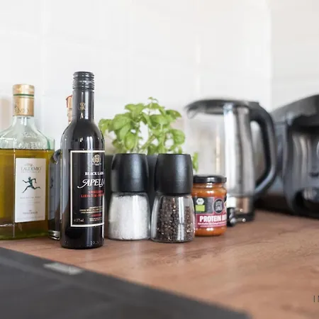 Apartmán Comfort Im Zentrum 17 Magdeburk