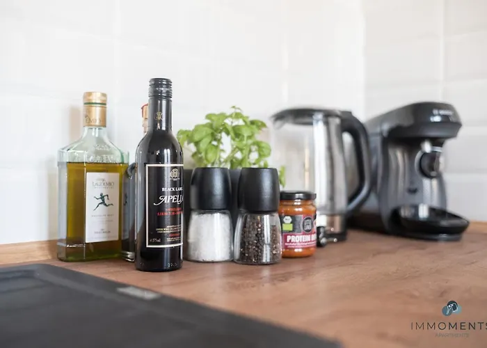 Apartamento Comfort Im Zentrum 17 Magdeburgo